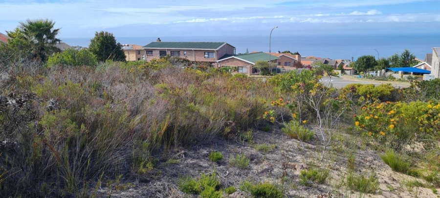 0 Bedroom Property for Sale in Dana Bay Western Cape